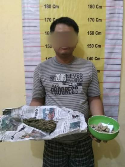 Lagi Maket Daun Ganja Kering,  Pilun Ditangkap Polisi