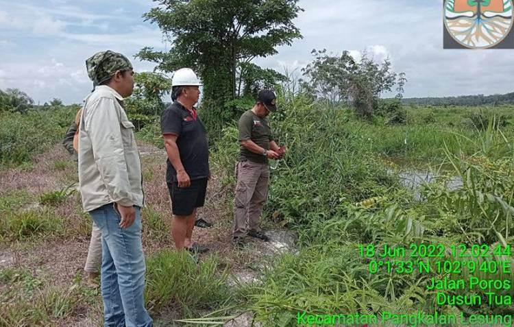 BBKSDA  Berupaya Temukan Pria di Pelalawan yang Tewas Disambar Buaya
