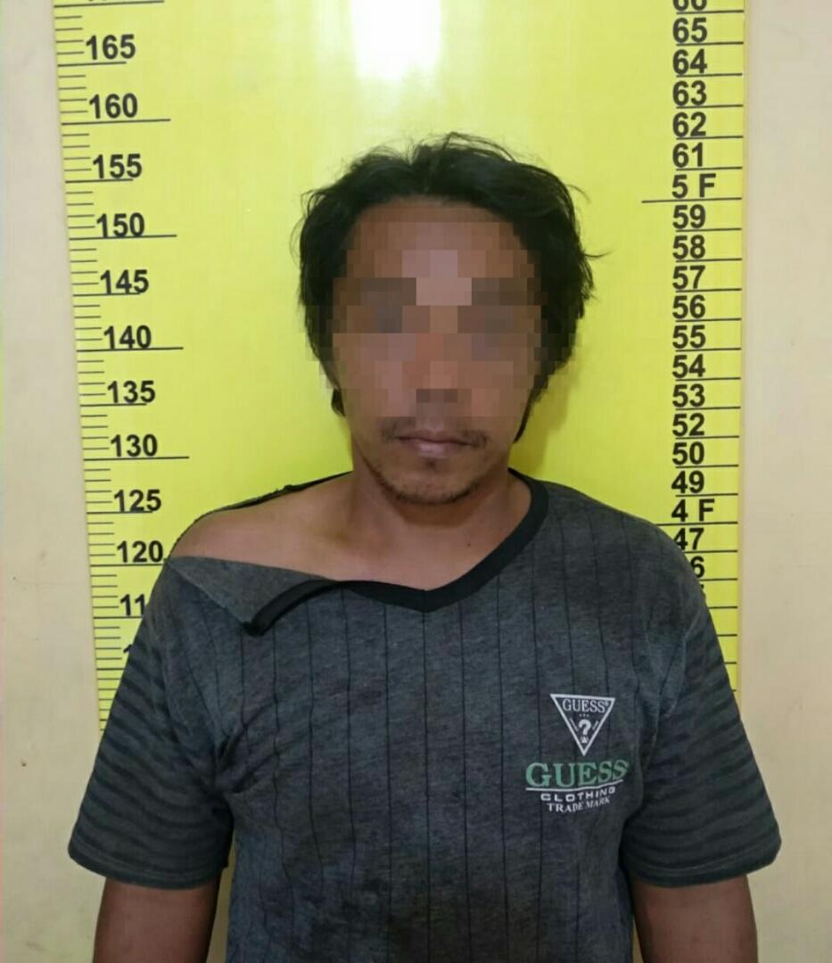 Alami Kerugian 450 Ribu Rupiah, PTPN III Sei Meranti Penjarakan Warga Rohil 