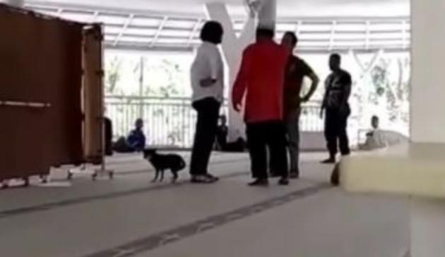 Beredar Surat Permintaan Maaf Keluarga Perempuan yang Bawa Anjing Masuk Masjid