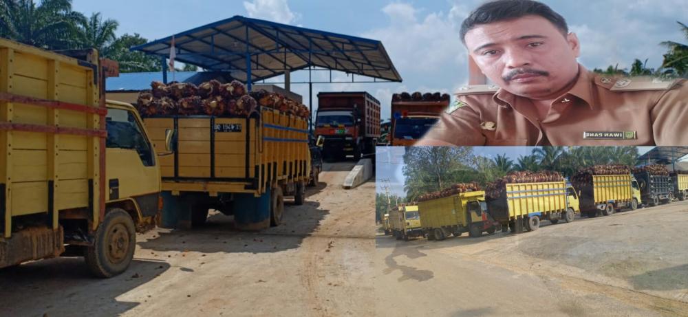 Hadirnya RAM di Tanjung Medan, beri lapangan kerja bagi masyarakat sekitar