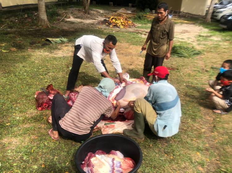 Polres Rohil dan Jajaran Gelar Pemotongan 57 Ekor Hewan Qurban 