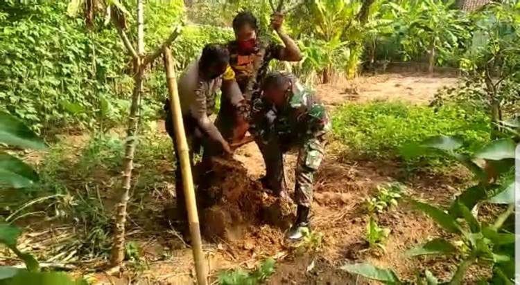 TNI Polri Bersama Masyarakat Sinergi Dukung Ketahanan Pangan