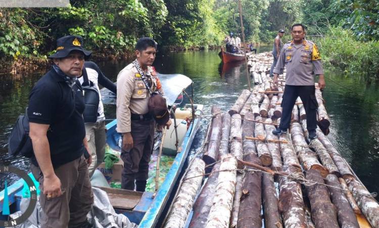Polres Siak Selidiki Dugaan Tindak Pidana Ilegal Logging