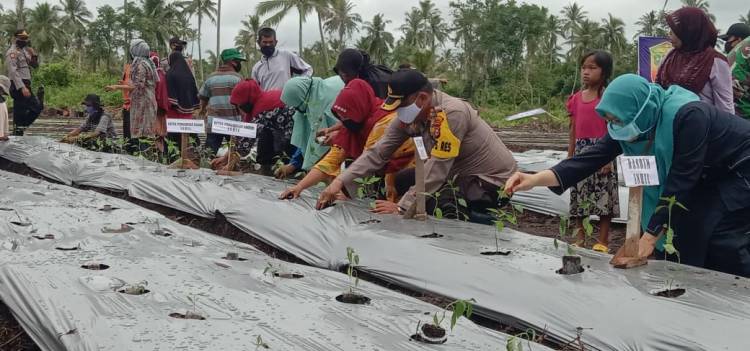 Masyarakat Tembilahan Hulu Lawan Corona Dengan Kampung Tangguh