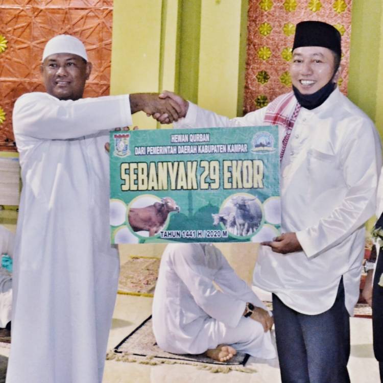 Idul Adha 1441 H, Pemkab Kampar  Serahkan 29 Ekor Sapi Qurban .