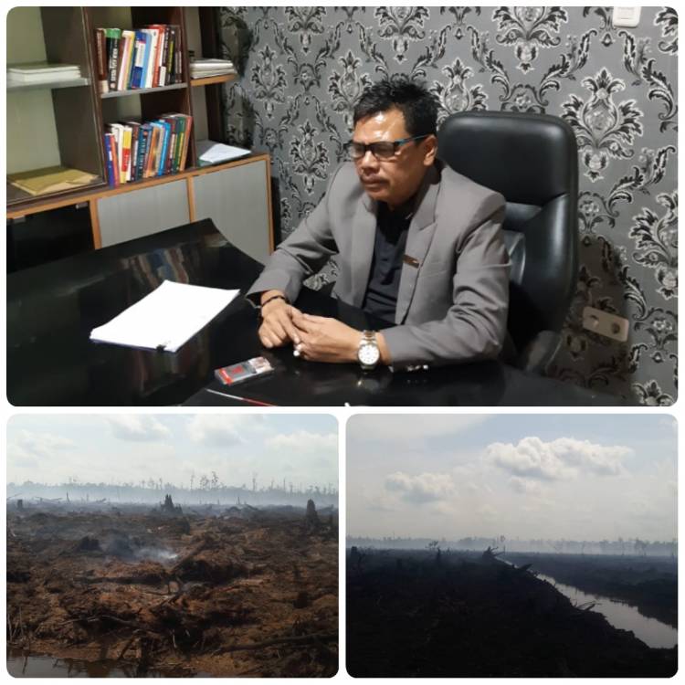 Penegakan Hukum Karhutla di duga di Areal Konsesi PT Arara Abadi Masih  belum terlihat
