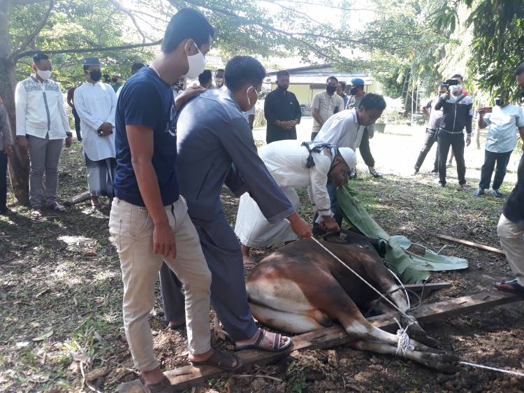 Idul Adha 1441-H, Personel Polres Kampar ber-Qurban 6 Ekor Sapi, 3 Kerbau dan 75 Ekor Kambing