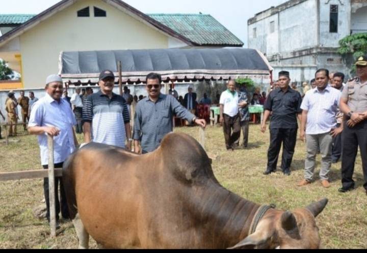 Pemko Langsa akan Salurkan Hewan Qurban