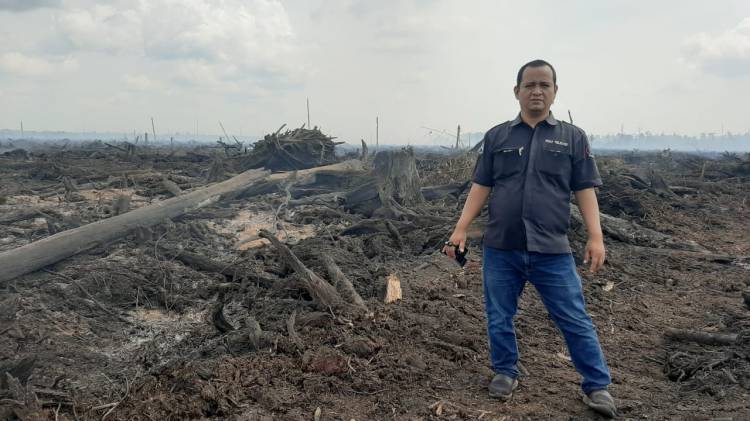 Ketua Fraksi Golkar Desak Penegak Hukum Proses Dugaan Karlahut PT Arara Abadi