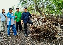 Abrasi Ancam Tenggelamkan Pulau Bengkalis