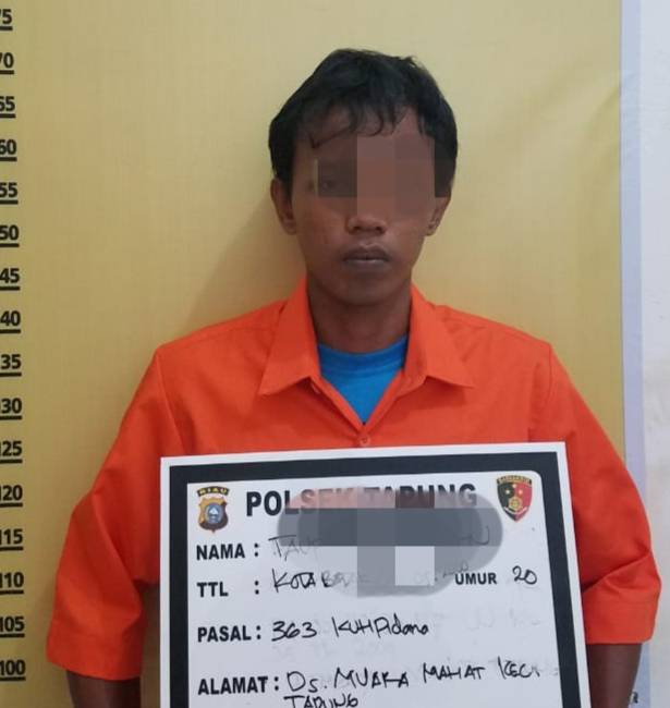 Polsek Tapung ringkus Pelaku Bongkar Rumah Orang Saat Ditinggal Pada Siang Hari