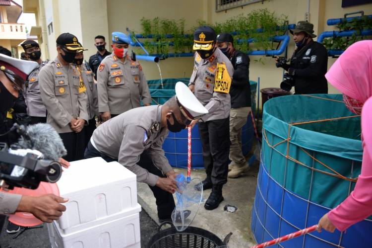 KUNKER KE POLRES LANGSA, KAPOLDA ACEH PANEN IKAN  DAN SAYURAN 
