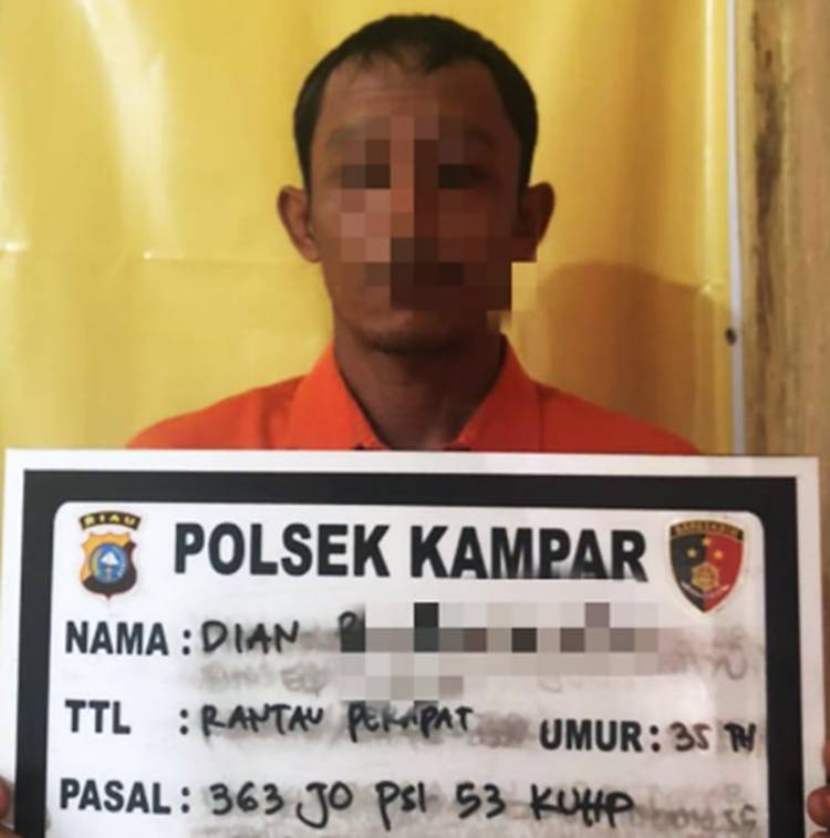 Pencuri Buah Sawit Milik CV. Makmur Jaya Sentosa Tertangkap Tangan oleh Karyawan Perusahaan