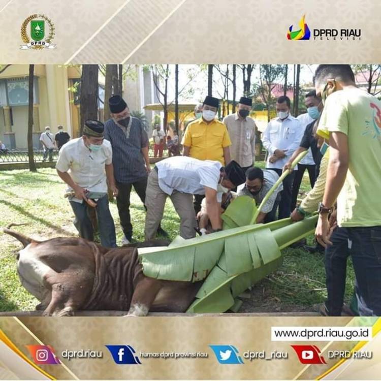 DPRD Riau Potong 20 Hewan Qurban di Iduladha 2021