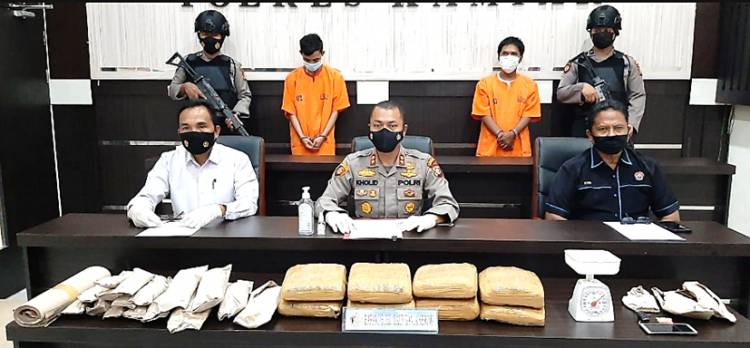 Kapolres Kampar Didampingi Kasatres Narkoba Ekspos Tangkapan 9,65 Kg Daun Ganja Kering