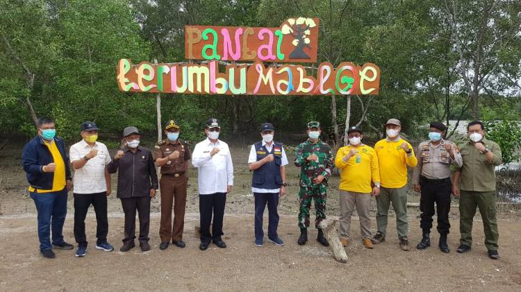 Dampingi Gubri, Bupati Inhil Tanam Pohon Mangrove di Pantai Terumbu Mabloe