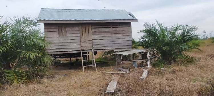 Warga Aceh Singkil ini Ditemukan Sudah Tak Bernyawa di Gubuk, Diduga ini Penyebabnya..