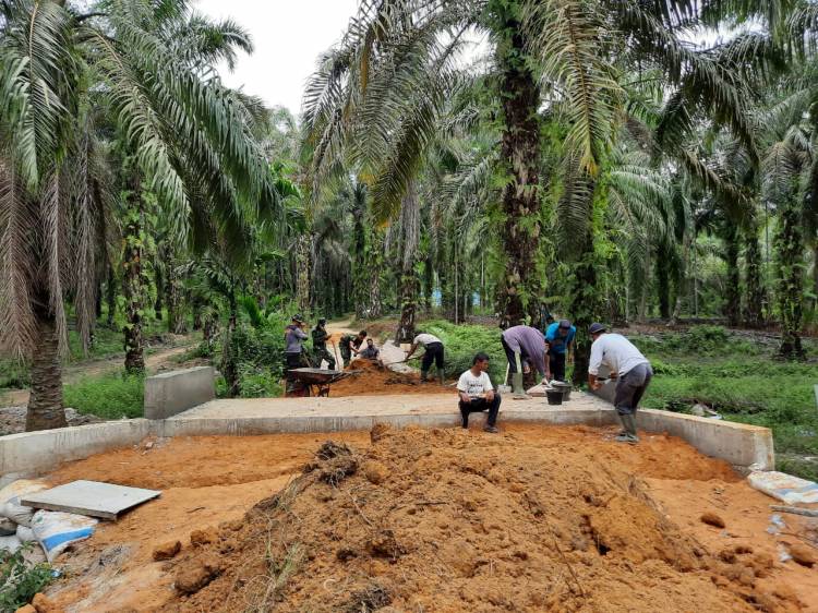 Masuki Tahap Finishing, TNI dan Warga Kembali Timbun Box Culvert