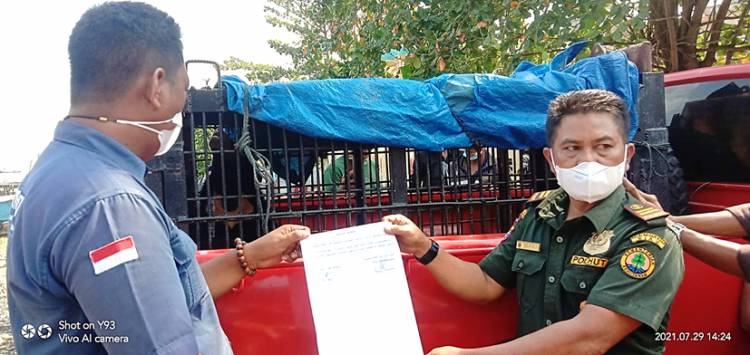 Anak Beruang Madu yang Muncul di Rumah Warga Desa Pelanduk Diamankan BKSDA Riau