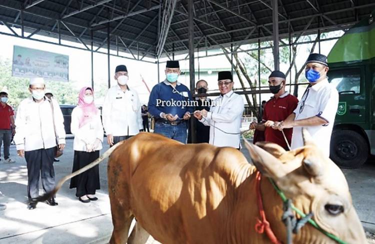 Bupati HM. Wardan Saksikan Pemotongan Hewan Kurban 1442 H  di Beberapa Kantor Pemkab Inhil