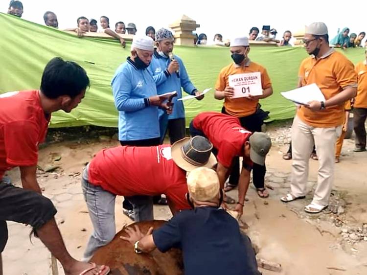Masjid Al-Huda Tembilahan Laksanakan Pemotongan Hewan Kurban Iduladha 1442 H dengan Prokes Ketat