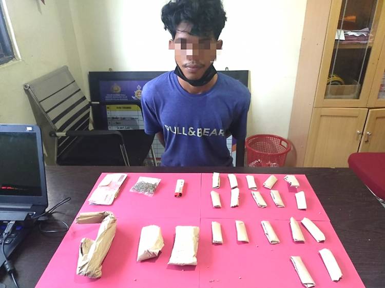Seorang Buruh di Pulau Burung Inhil Diamankan Polisi, Diduga Terlibat TP Nakotika Jenis Ganja