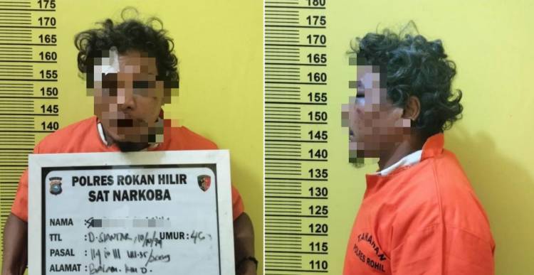 Lakukan Penyamaran, Sat Narkoba Polres Rohil Bekuk Pengedar Narkotika, 1 Kg Ganja Diamankan