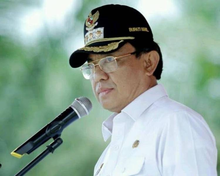Bupati Inhil Sayangkan Jalan Desa Igal Baru Dikerjakan Setelah Sempat Viral