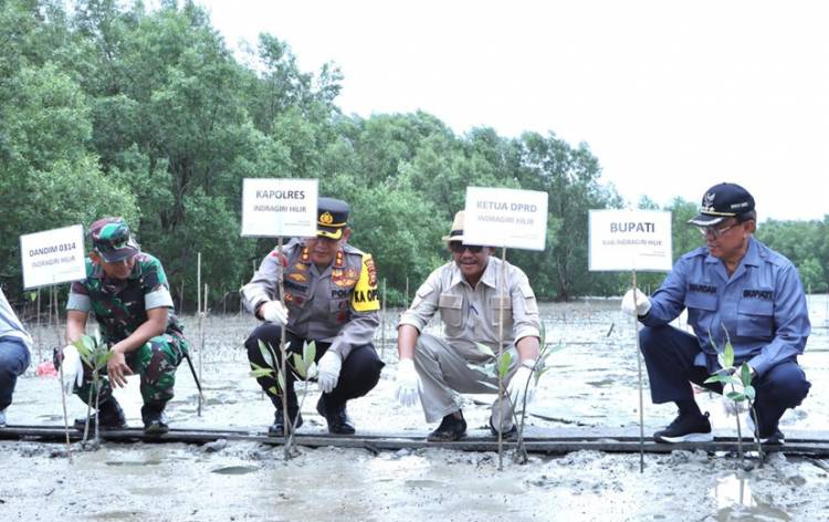 Kapolres Inhil Tanam Benih Pohon Mangrove Sempena Hari Mangrove Sedunia 2022 di Sungai Bela
