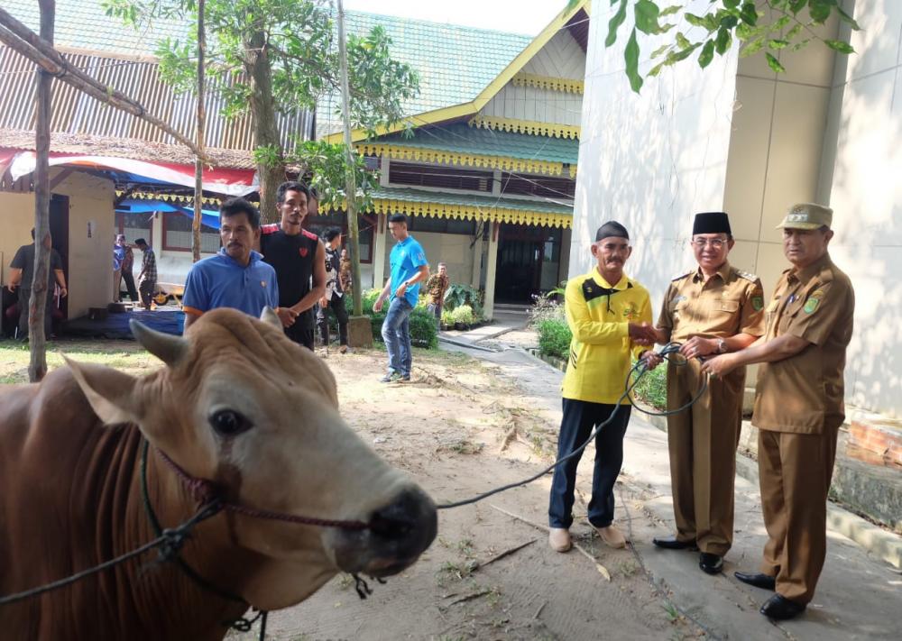 Idul Adha 1440 H, Bupati Tunaikan Ibadah Kurban Di lingkungan Setda Inhil