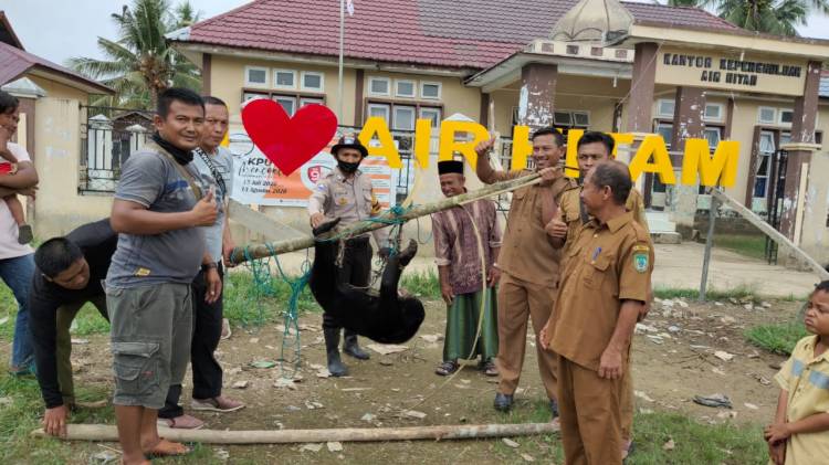 Beruang Madu Terjerat, BBKSDA Didampingi Bhabinkamtibmas Polsek Pujud Lakukan Evakuasi