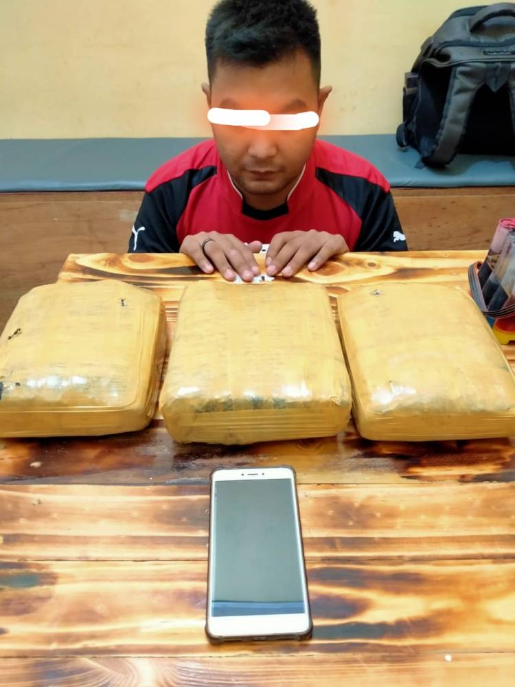 Pengedar Ganja Diamankan Tim Opsnal Sat Res Narkoba.