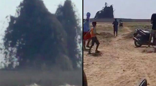 Seketika Belasan Kerbau Lenyap oleh Semburan Lumpur di Blora 