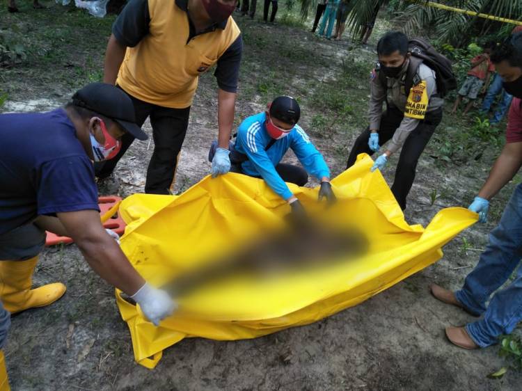Panen Buah Sawit, Warga Pujud Temukan Sesosok Mayat, Kapolsek : Jika Merasa Ada Keluarga yang Hilang Silahkan Lapor ke Polsek Pujud