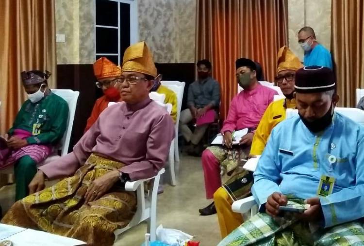 Bupati Inhil jadi Pemateri Webinar "Sawit Watch"
