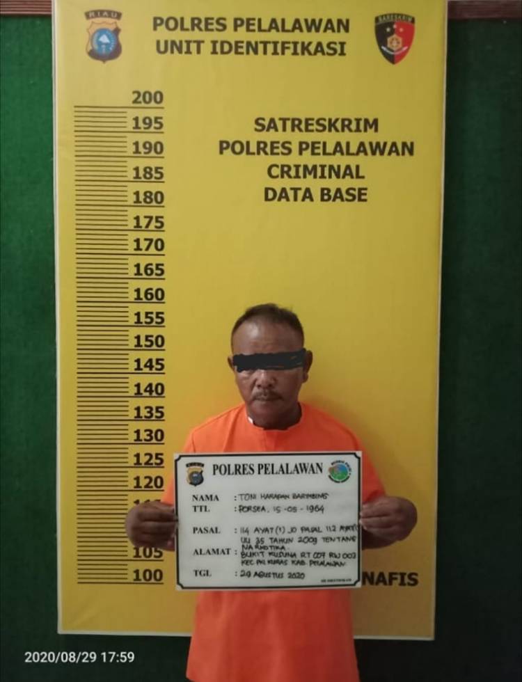 Tim Opsnal Satres Narkoba Polres Pelalawan Ringkus Dua Pengedar Sabu asal Sumut