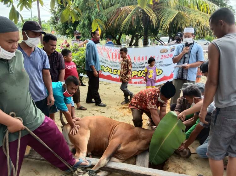 Idul Adha 1441 H, Polsek Pujud Sembelih 7 Hewan Qurban