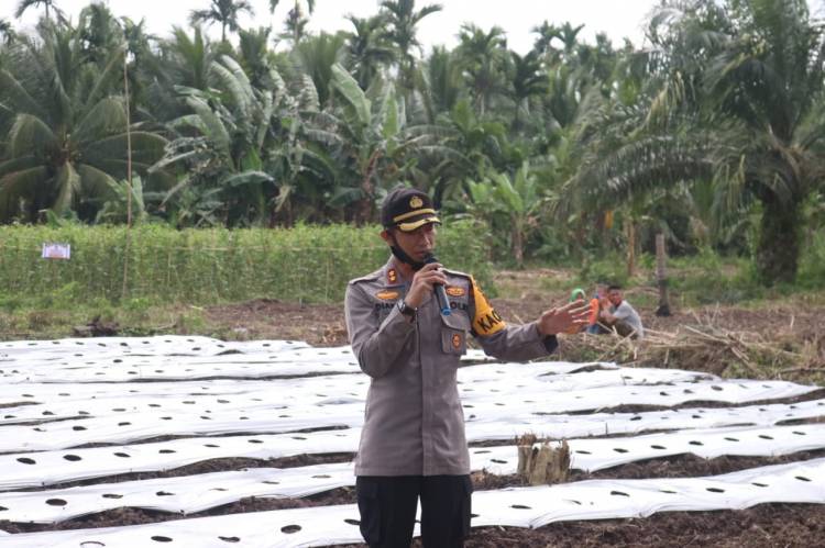 Kapolres Inhil Implementasikan Program Riau Jaga Kampung dengan Menanam Palawija