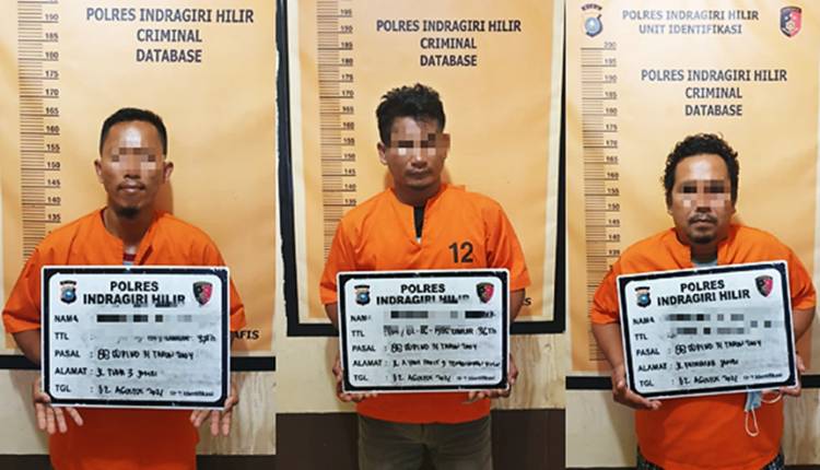 Polres Inhil Tahan Seorang Warga Tembilahan dan Dua Warga Jambi Pelaku Penyelundupan Benih Lobster