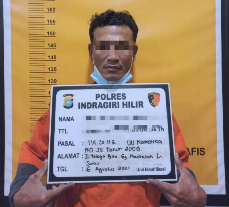 Warga Pulau Palas Pelaku Transaksi Narkoba Ditangkap Satres Narkoba Polres Inhil