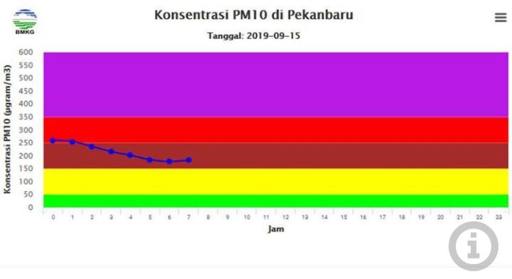 Kualitas Udara di Pekanbaru Masih Tak Sehat, Ini Imbauan BNPB
