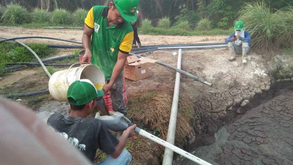 PKS PT BSS Telah Jalani Sanksi Bupati Rohil Off Selama 7 Hari