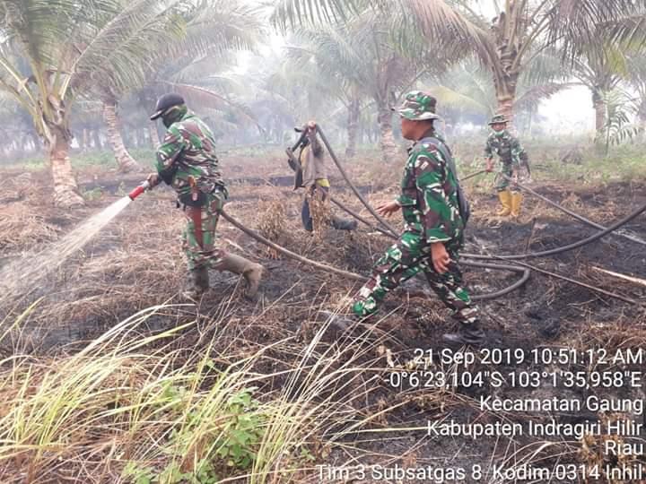 Kebakaran Hutan dan Lahan(Karhutla) Tahun Ini Cukup Parah Hampir Mendekati Kejadian Tahun 2015.