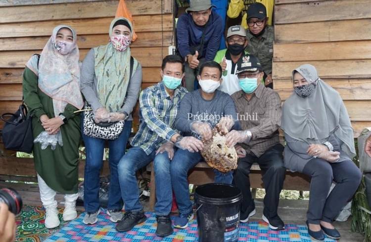 Bupati Inhil dan Istri Meninjau Proses Panen Madu di Kecamatan Gaung