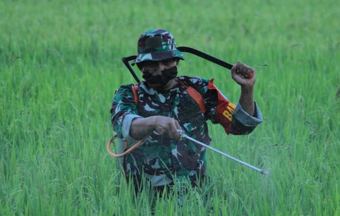 TNI-POLRI Langsa Bersinergi Bersama Petani Perkuat Ketahanan Pangan 