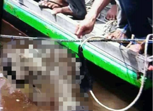 Hendak Pergi Ke Pasar,AB Jatuh Dari Pompong Di Sei Indragiri Hilir Ditemukan Sudah Menjadi Mayat