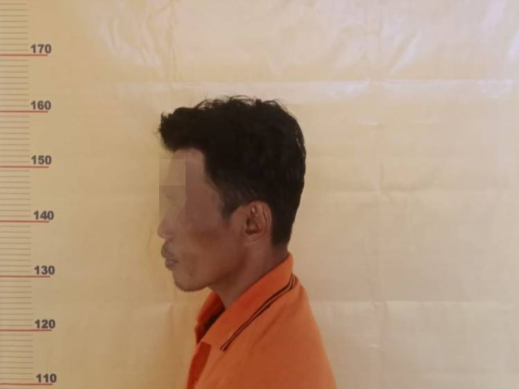 Cabuli Gadis Tetangganya, Pria Beristri di Rohil ini Diringkus Polisi