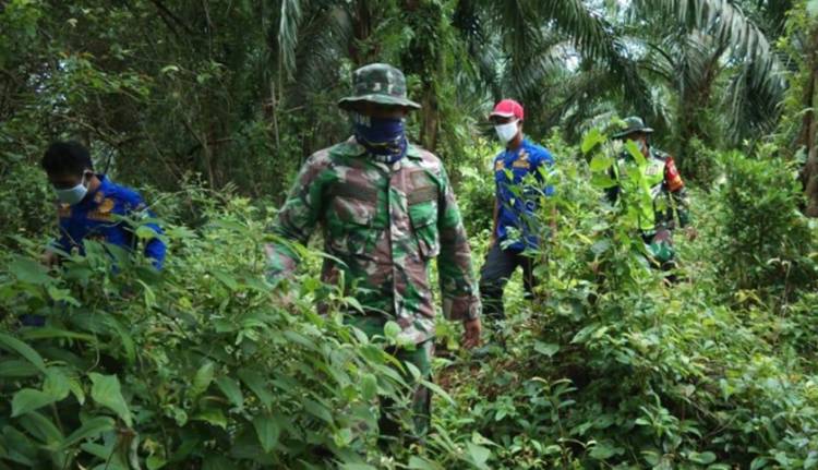 Rawan Kebakaran Koramil Babinsa 05 / Rupat Gelar Patroli Lahan