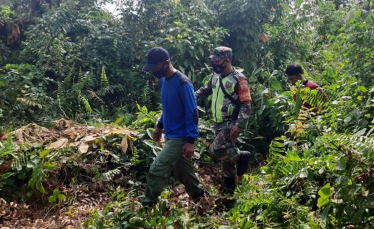 Koramil Babinsa 05 / Rupat Kembali Gelar Patroli Lahan Rawan Kebakaran